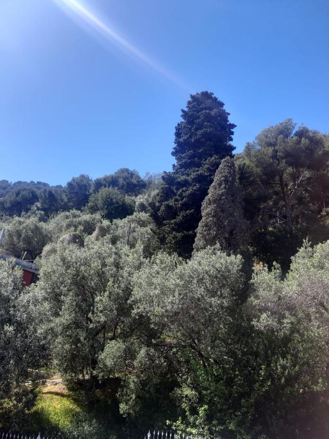 Spectacular Sea View - 3 Minutes Walk From The Sea Laigueglia Exterior foto